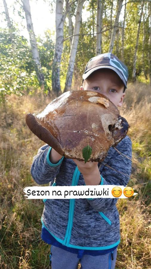 Aris Pokoje Goscinne Wojnicz Ngoại thất bức ảnh